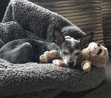 Warmies Sloth - Junior