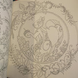 Enchanted Forest Coloring Book