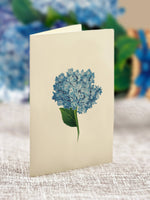 Mini Nantucket Hydrangeas Pop-up Greeting Card