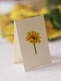 Sunflowers Pop-up Greeting Card