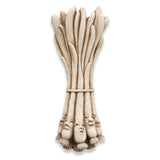 Italian Scallions - Carruth Studio