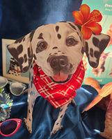 Dalmation Pop-up Pets Greeting Card