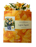 English Daffodils Pop-up Greeting Card