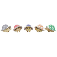 DCUK Toadstool Hedglets