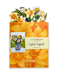 Mini English Daffodils Pop-up Greeting Card