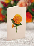 Mini Pumpkin Spice Pop-up Greeting Card