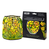 Louis C. Tiffany Daffodils Luminaries