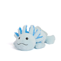Warmies Blue Axolotl Junior