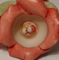 Valentine Rose