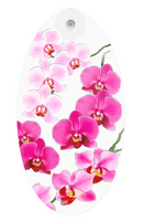 Pink Orchid Suction Cup Vase