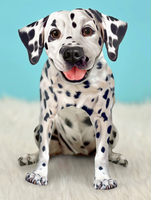 Dalmation Pop-up Pets Greeting Card