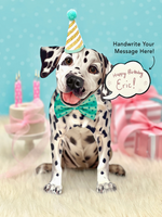 Dalmation Pop-up Pets Greeting Card