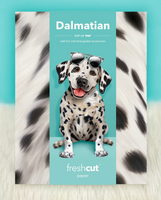 Dalmation Pop-up Pets Greeting Card