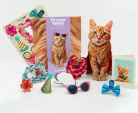 Orange Tabby Pop-up Pets Greeting Card