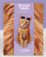 Orange Tabby Pop-up Pets Greeting Card