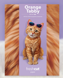 Orange Tabby Pop-up Pets Greeting Card