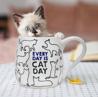 Every Day is Cat Day Mug