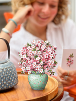 Mini Japanese Cherry Blossom Pop-up Greeting Card