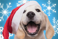 Santa Paws Micro Jigsaw Puzzle