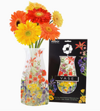 Mary Vaux Walcott Botanicals Expandable Vase