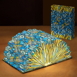 Louis C. Tiffany Dragonfly - Light Book