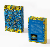 Louis C. Tiffany Dragonfly - Light Book