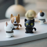 Hoptimist Black Cat XS
