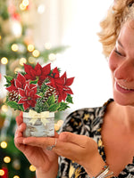 Mini Birch Poinsettia Pop-up Greeting Card