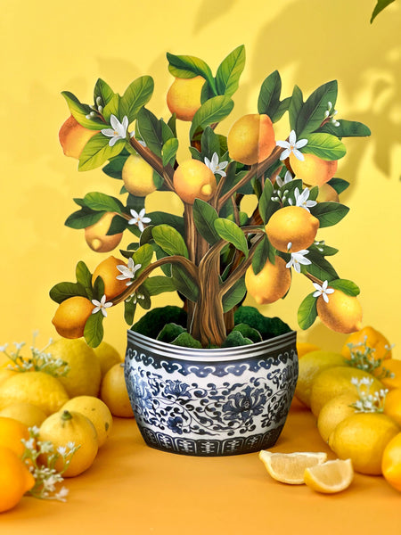 Lemon Blossom Tree Pop-up Greeting Card