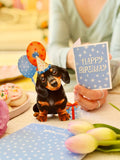 Mini Birthday Puppy Pop-up Greeting Card