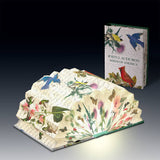 Birds of America - Light Book