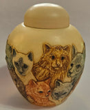 Kitty Litter