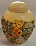 Kitty Litter