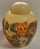 Kitty Litter