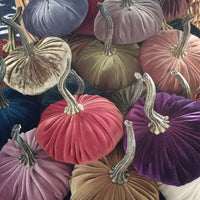 Velvet Pumpkins