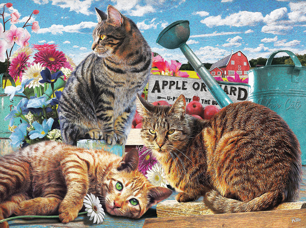 Puzzle - Apple Orchard 300 Pieces