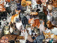 Puzzle - Cat Collage 300 Pieces