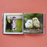 Cute Animals for Hard Times
