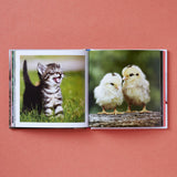 Cute Animals for Hard Times
