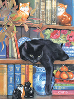 Puzzle - On the Shelf 1000 Pieces