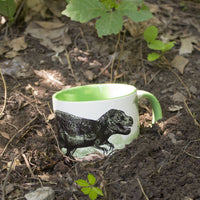 Disappearing Dinosaurs Mug