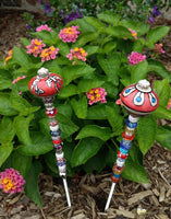 Jilly's Garden Frillies