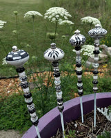 Jilly's Garden Frillies