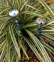 Jilly's Garden Frillies