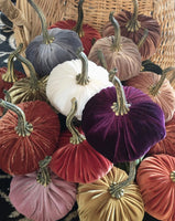 Velvet Pumpkins