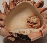 Brean Sands