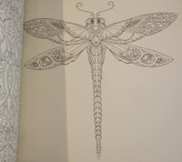 Enchanted Forest Coloring Book