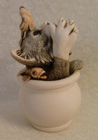 Cookie's Jar