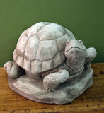 William Turtle - Carruth Studio