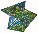 Shashibo Shape Shifting Box - Elements